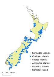 Asplenium lyallii distribution map based on databased records at AK, CHR, OTA & WELT.
 Image: K. Boardman © Landcare Research 2017 CC BY 3.0 NZ